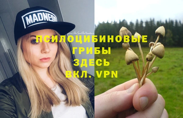 стаф Балабаново