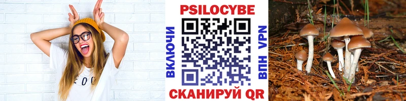 Галлюциногенные грибы Magic Shrooms  Лукоянов 
